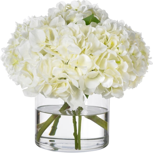 Diane James White hydrangea in glass cylinder - 11"d x11"h