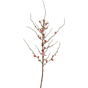 Winward 59.5" Blossom Peach