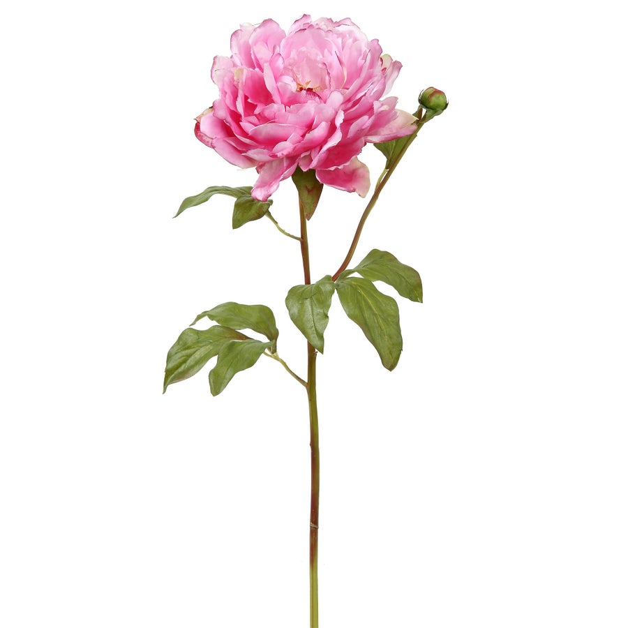 An image of Winward Peony 19.5" Stem