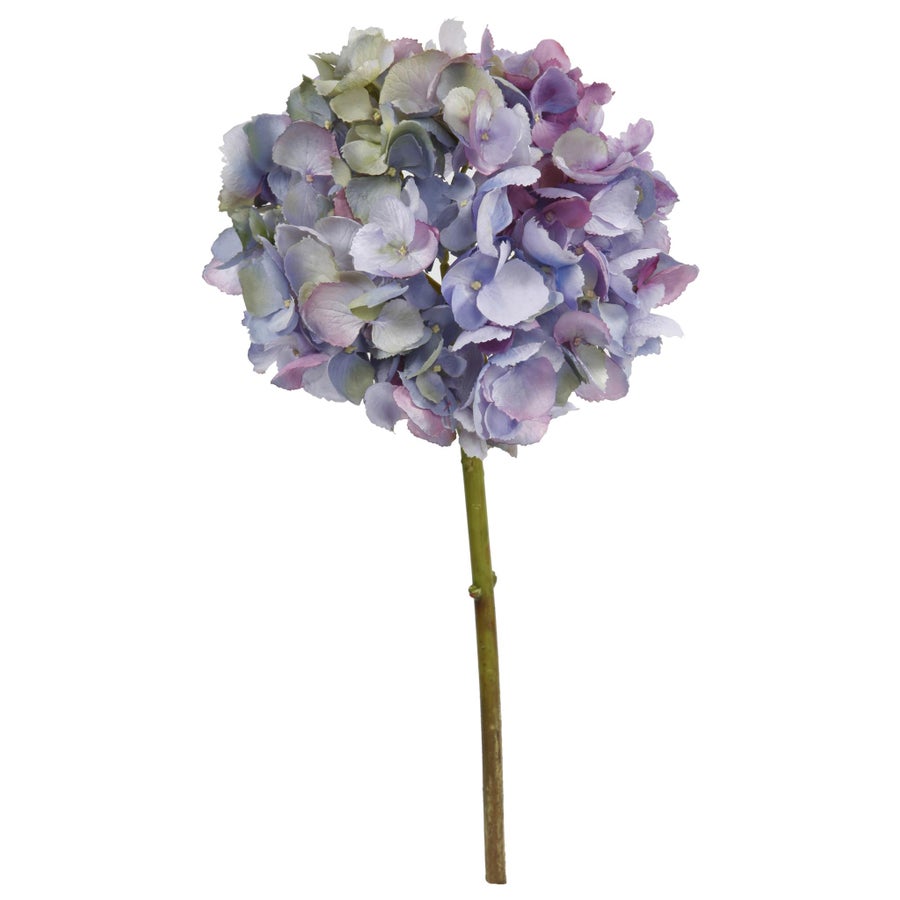 An image of Winward Hydrangea 19" Short Stem