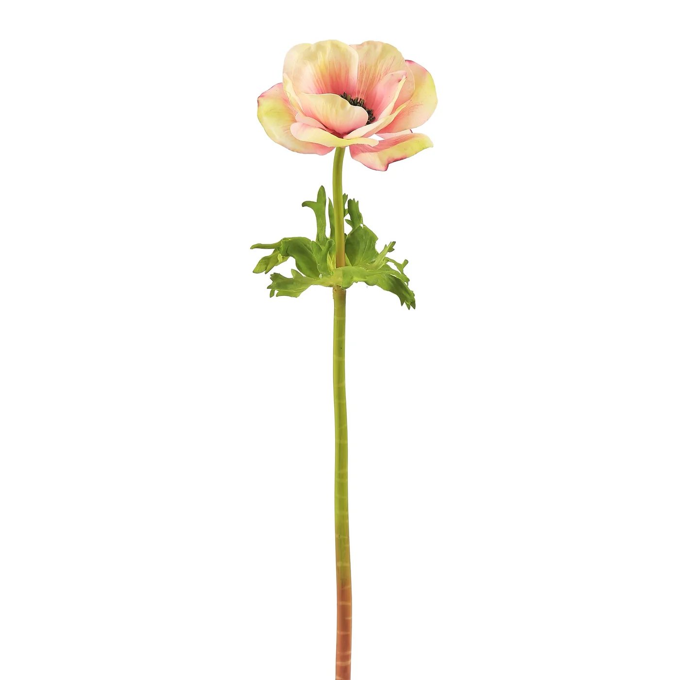 Winward 17.5" Poppy Anemone