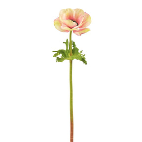 Winward 17.5" Poppy Anemone