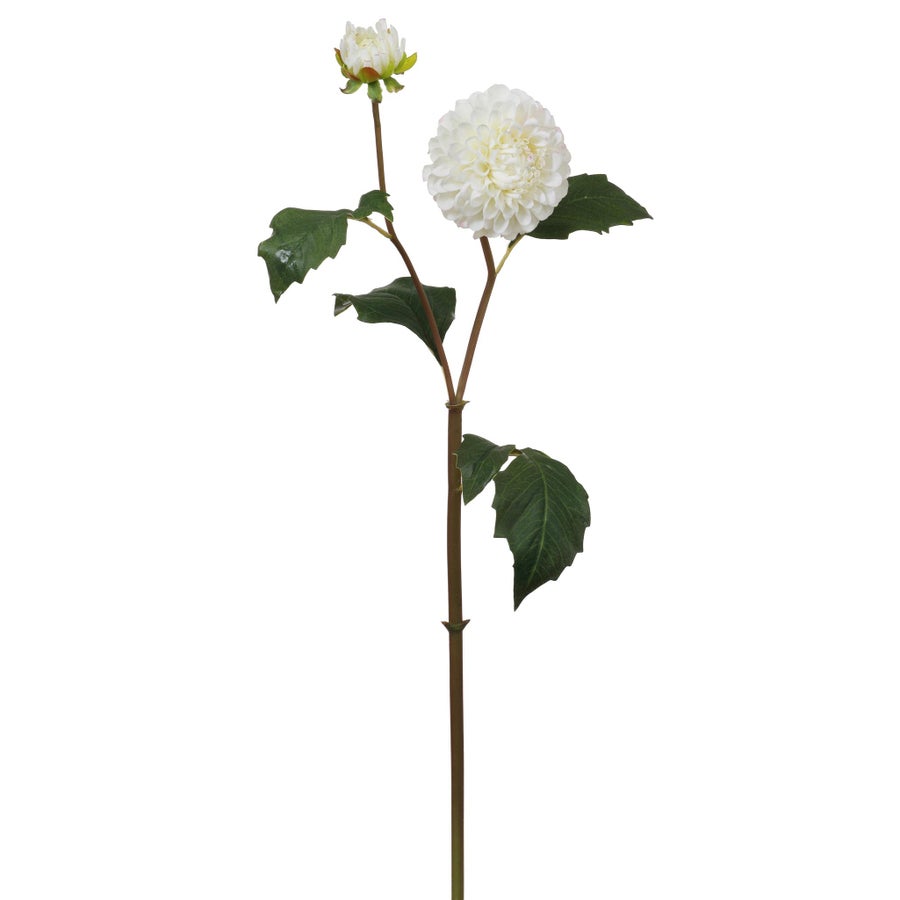 An image of Winward Dahlia 20" Stem