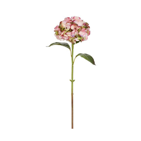 Winward 29" Hydrangea