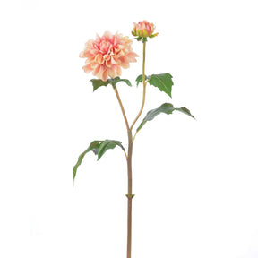 Winward 19.5" Dahlia
