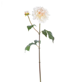 Winward 25" Dahlia