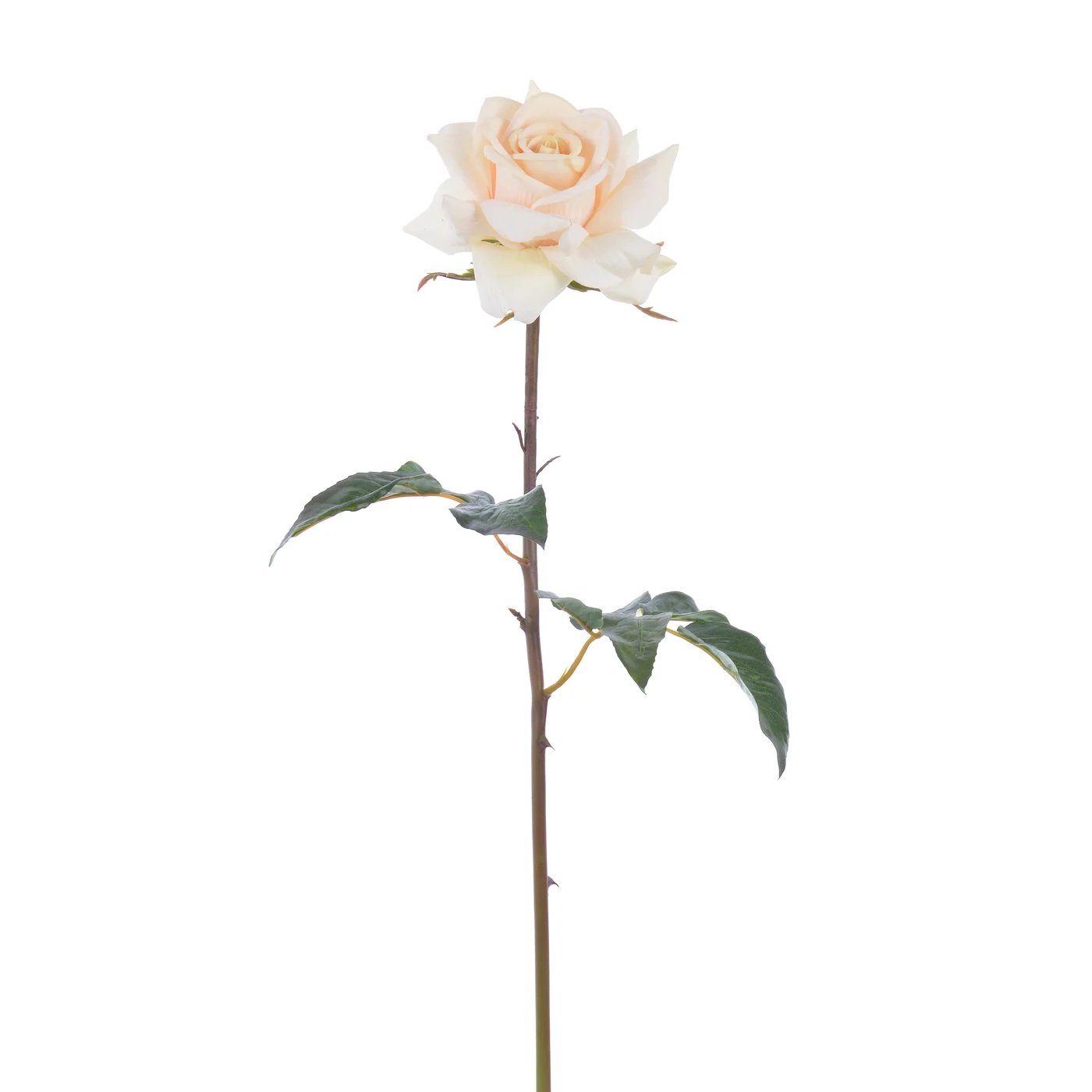 An image of Winward 20" Rose Dutchess Open Short Stem
