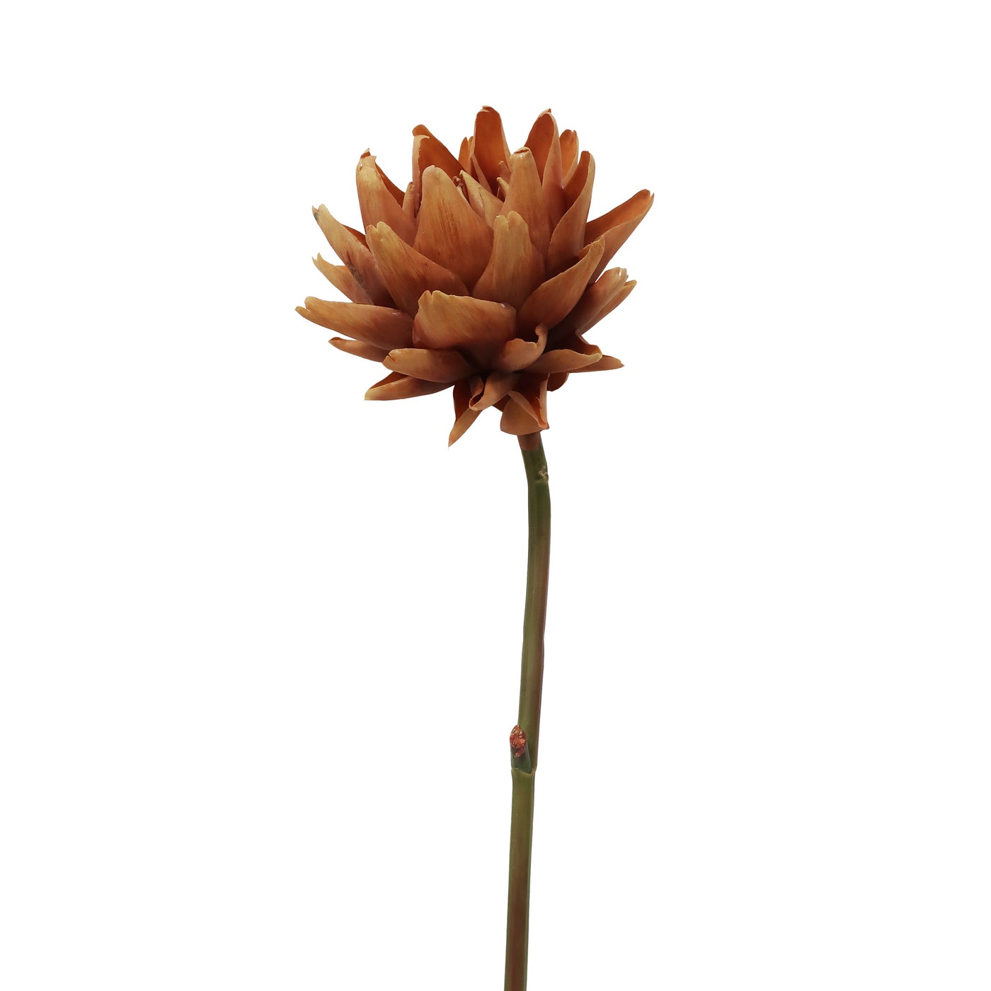 An image of Winward 25.5" Artichoke Stem