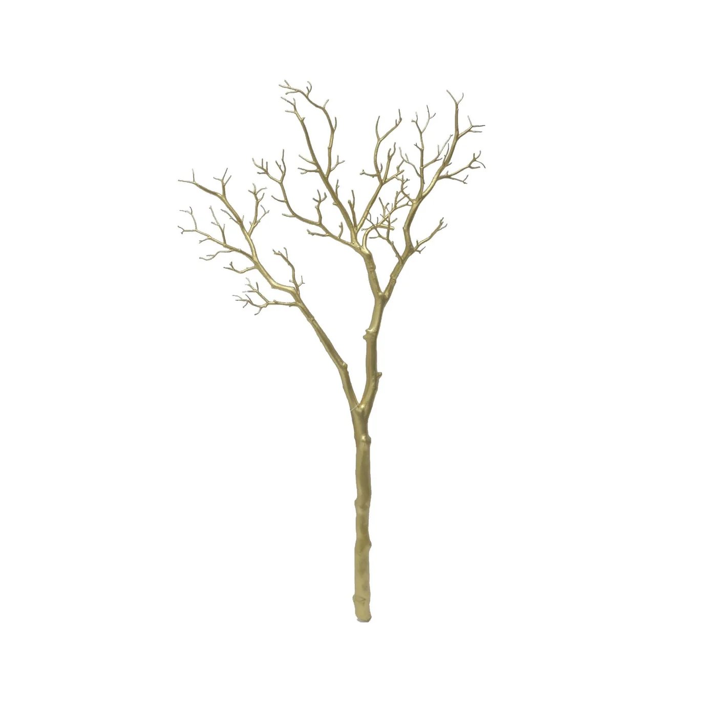 Winward 41" Manzinita Branch