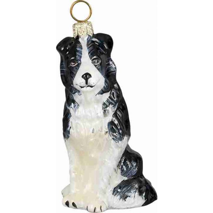 Joy to the World Border Collie