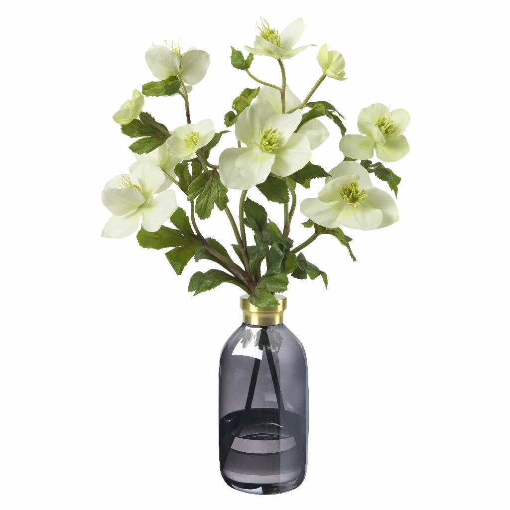 Diane James White Hellebores in Bud Vase, Grey with Gold