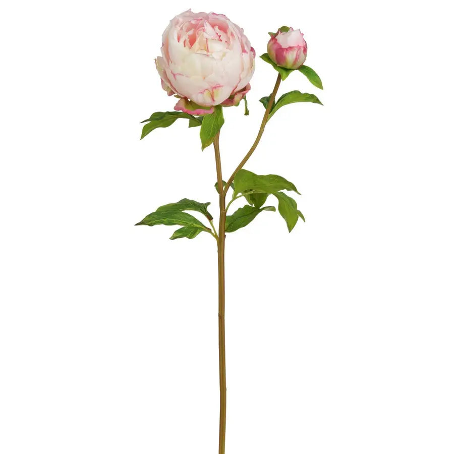 Winward Peony Stem Pink