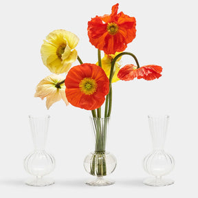 3 Kim Seybert Tess Bud Clear Vases with flowers