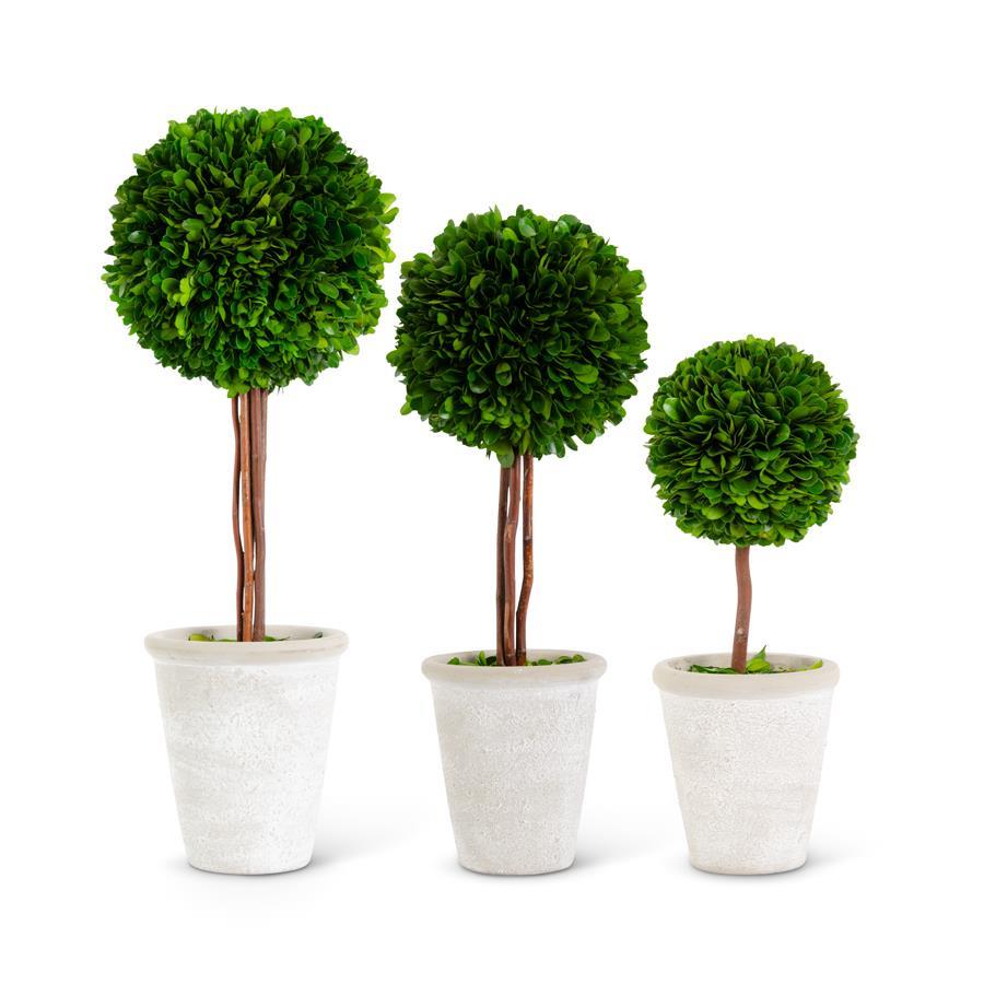 An image of K & K Boxwood Ball Topiaries - Set of 3