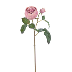 Winward 19" Rose English Short Stem