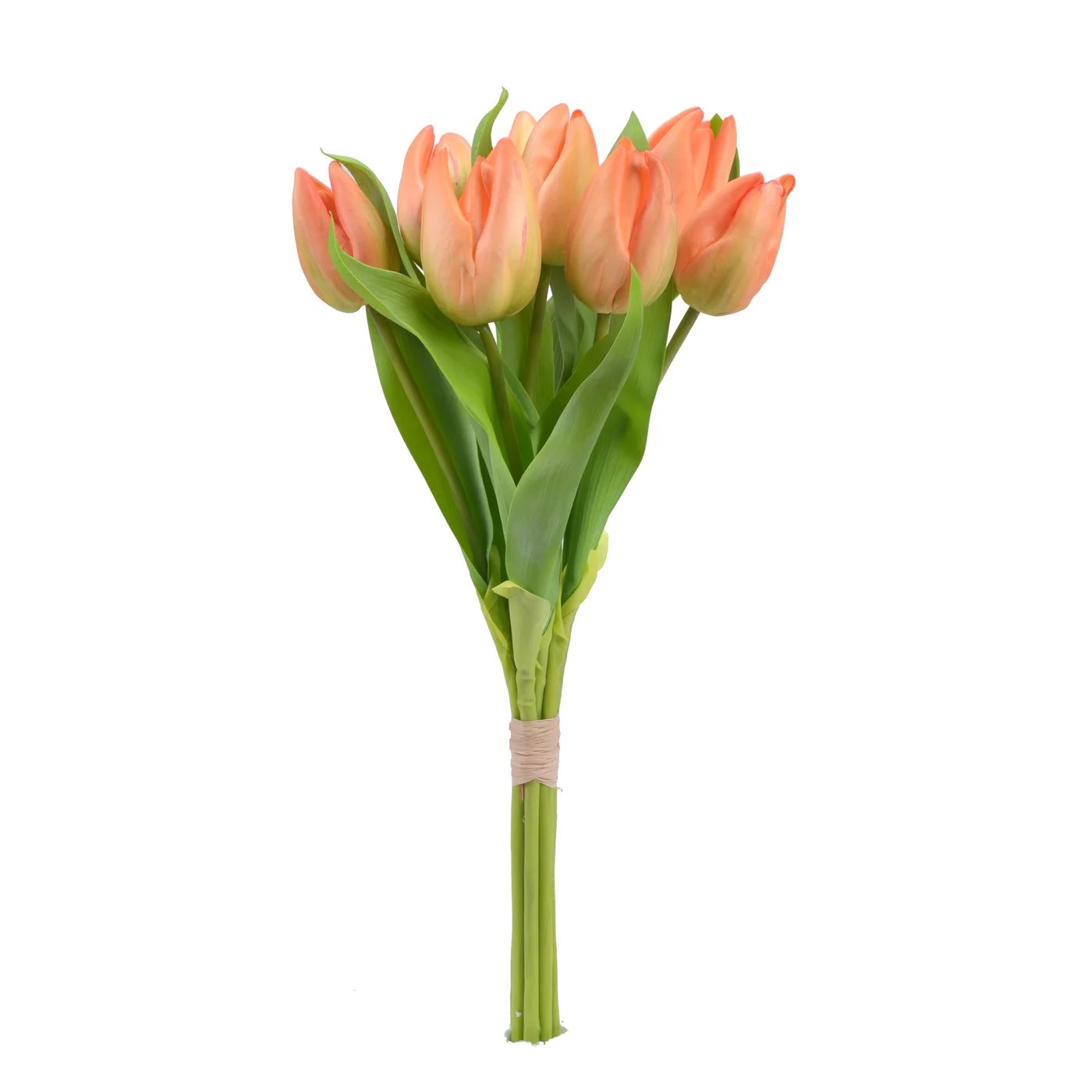 An image of Winward 16" Tulip Bunch