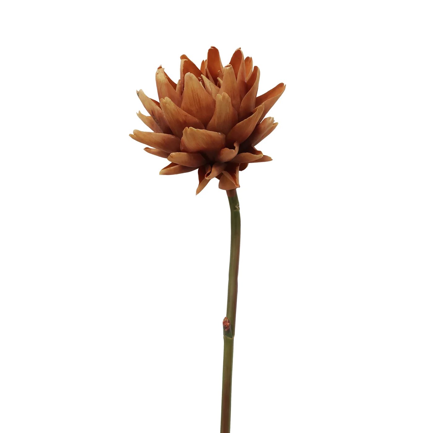 Winward 25.5" Artichoke Stem