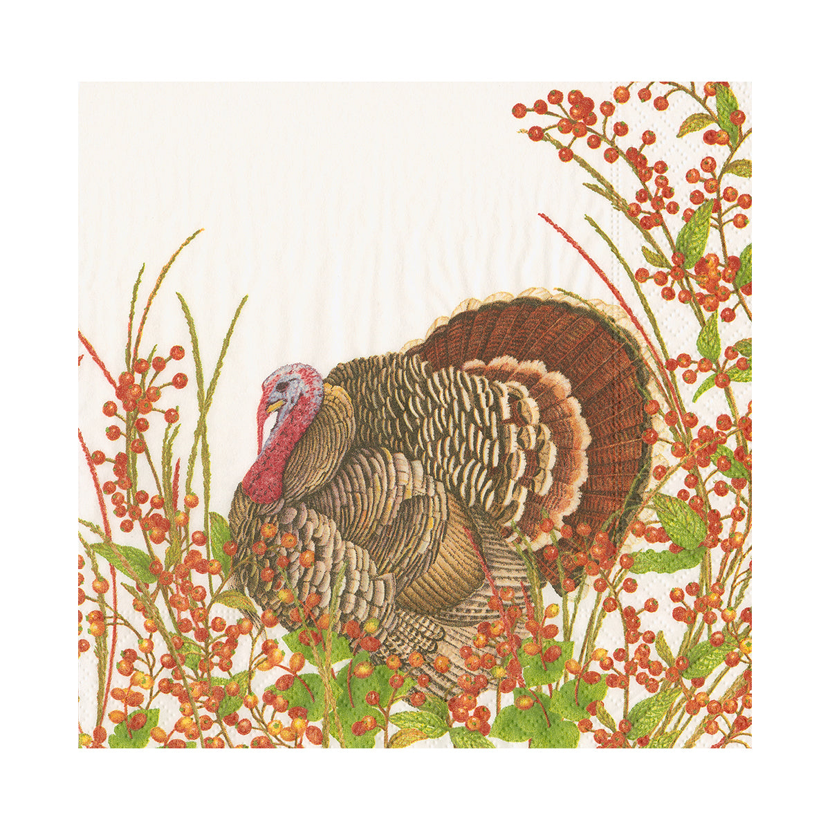 An image of Caspari Turkey & Berries Luncheon Napkins