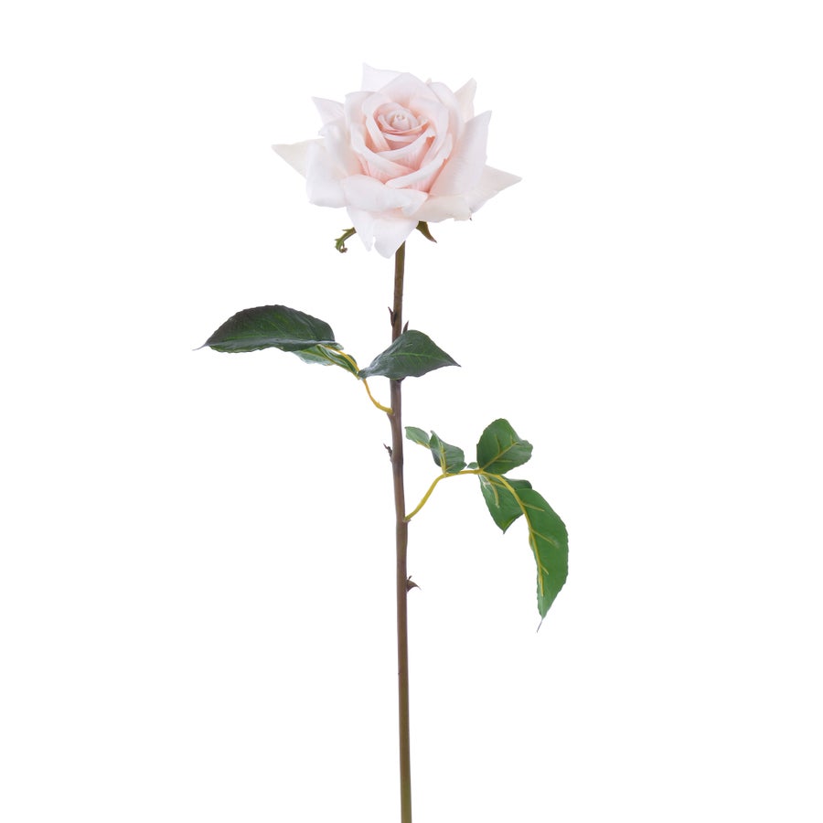 An image of Winward Rose Dutchess Open Short Stem 20"