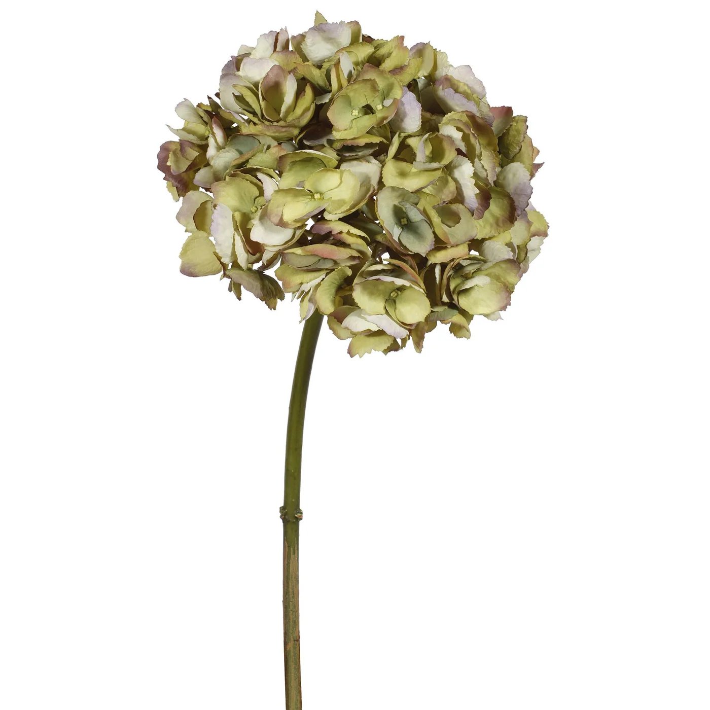 An image of Winward 19" Hydrangea Short Stem