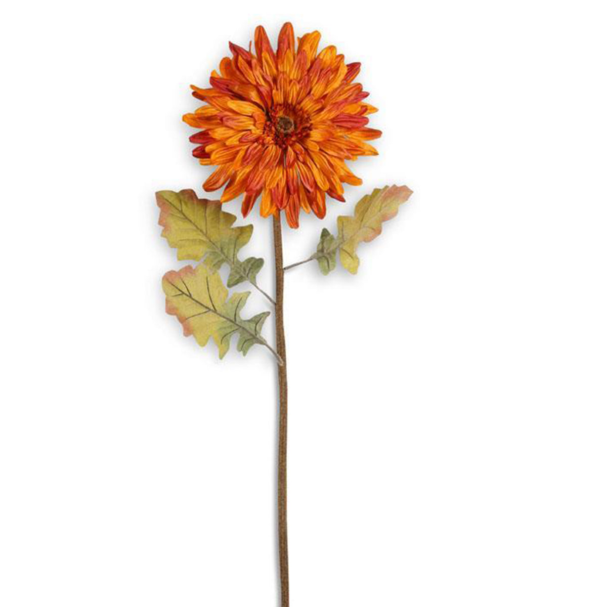 K&K Orange Gerber Daisy Stem