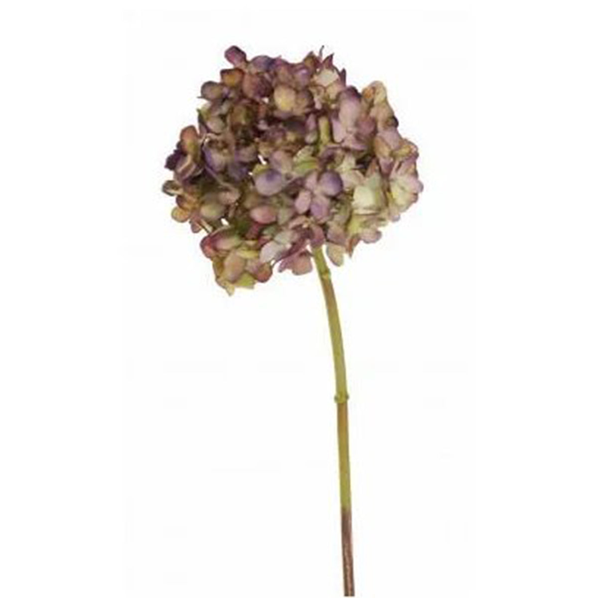 Winward 18" Hydrangea Short Stem