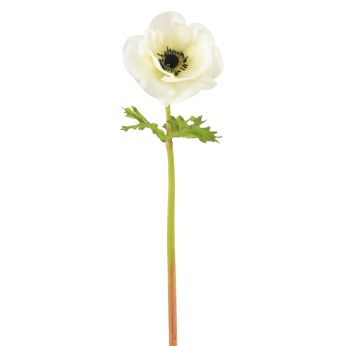 Winward 17.5" Poppy Anemone