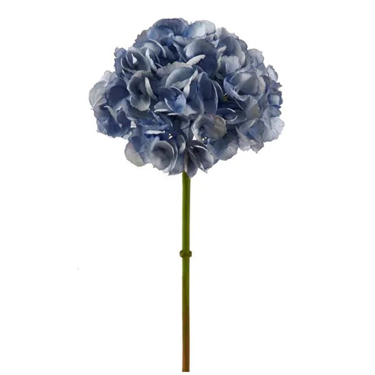 An image of Winward 19" Hydrangea Short Stem