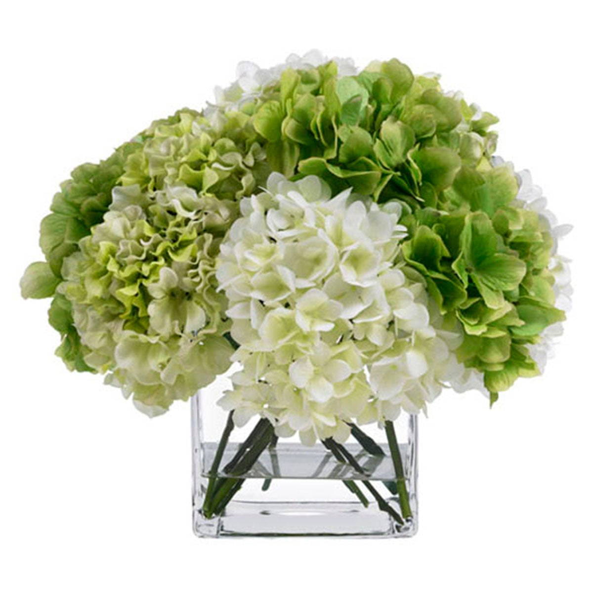Diane James Green & Cream Hydrangea Bouquet in Glass Cube