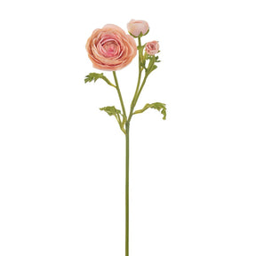 Winward Ranunculus 22.5" Stem