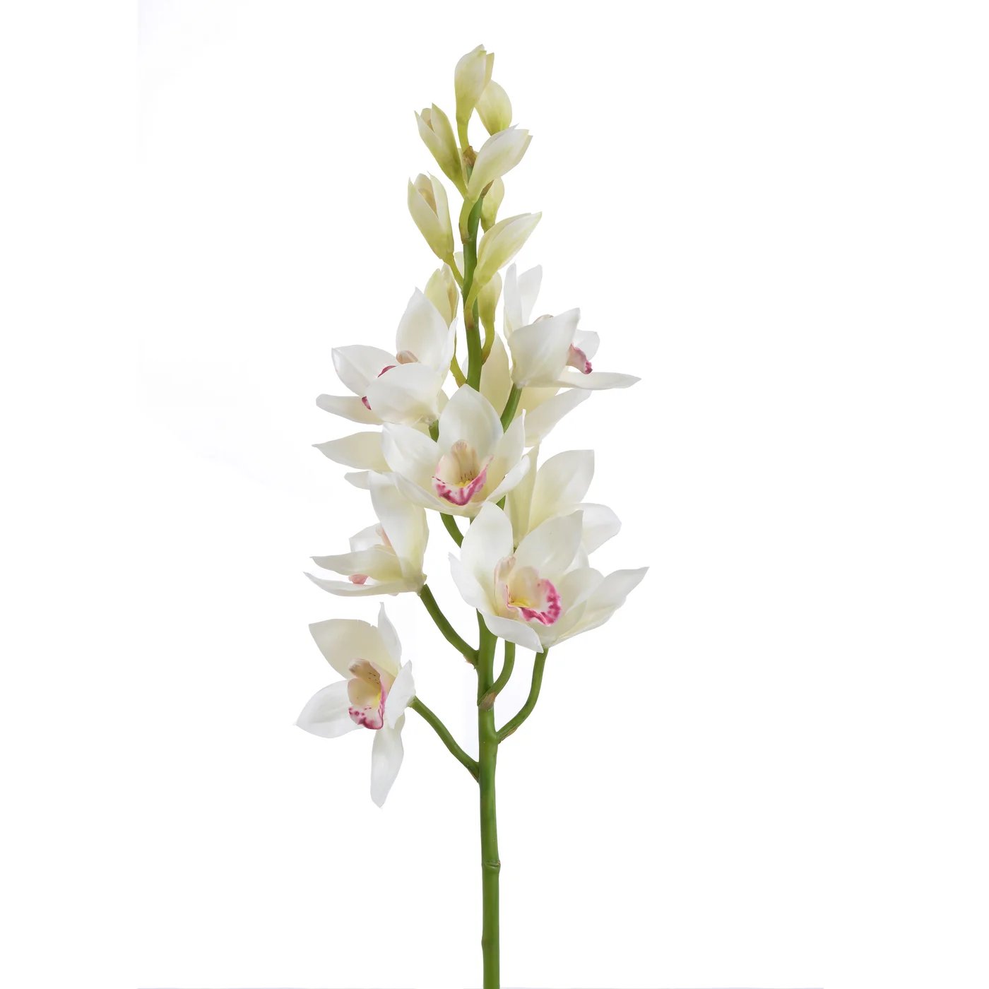 Winward 35" Orchid Cymbidium