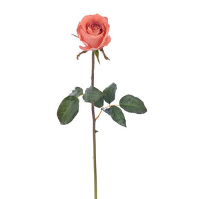 Winward Rose 20.5" Bud Pick