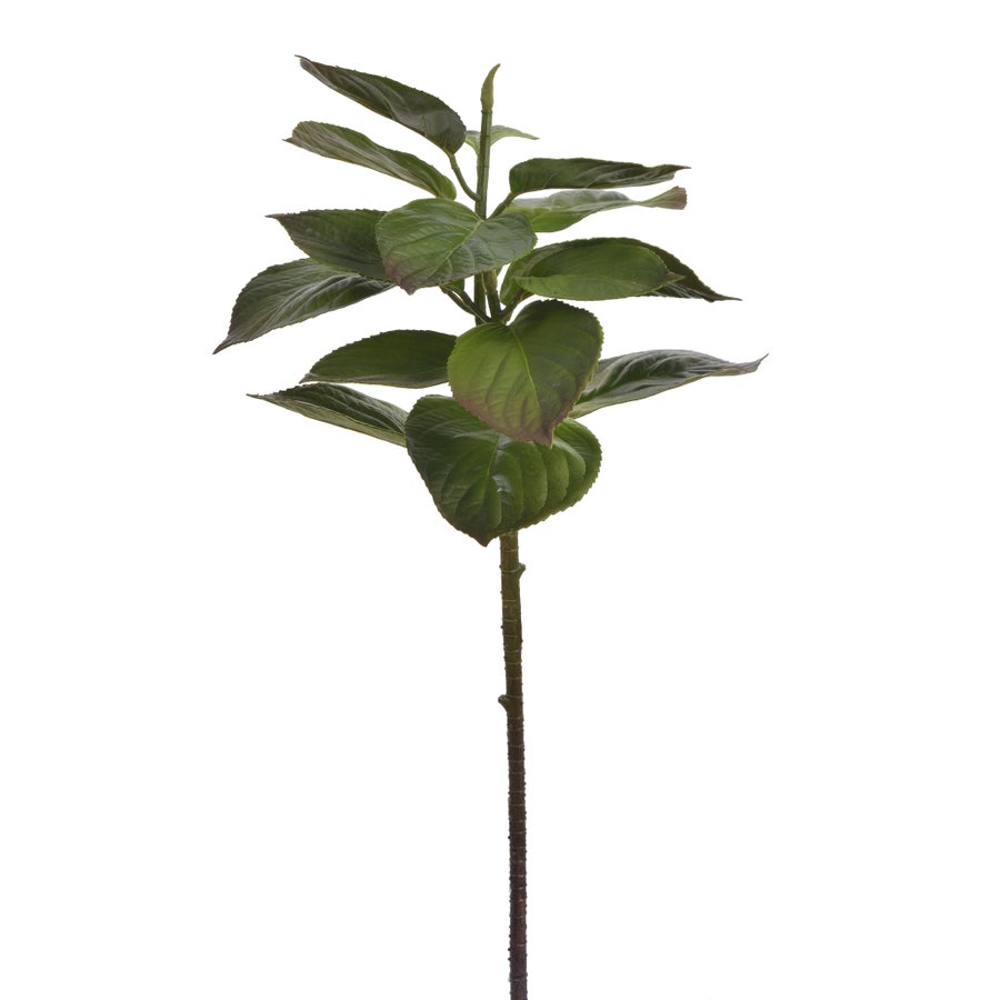 Winward Hydrangea Leaf Stem