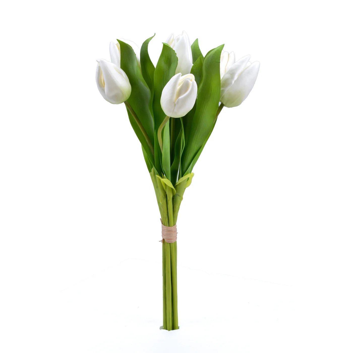 An image of Winward 16" Tulip Bunch