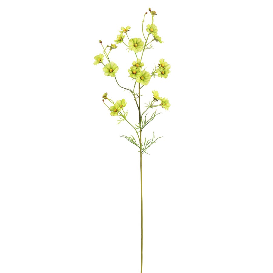 Winward Coreopsis 33" Spray Stem