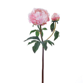 Winward 21.5" Peony Open Stem