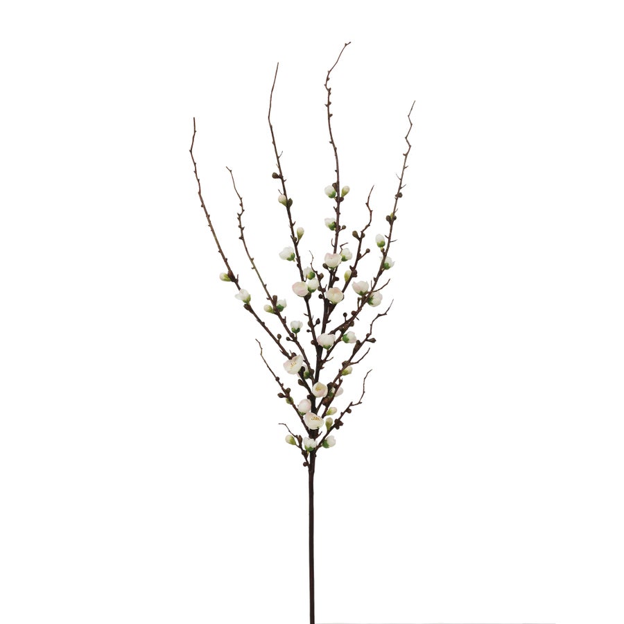 Winward Blossom Peach Stem