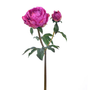 Winward 21.5" Peony Open Stem