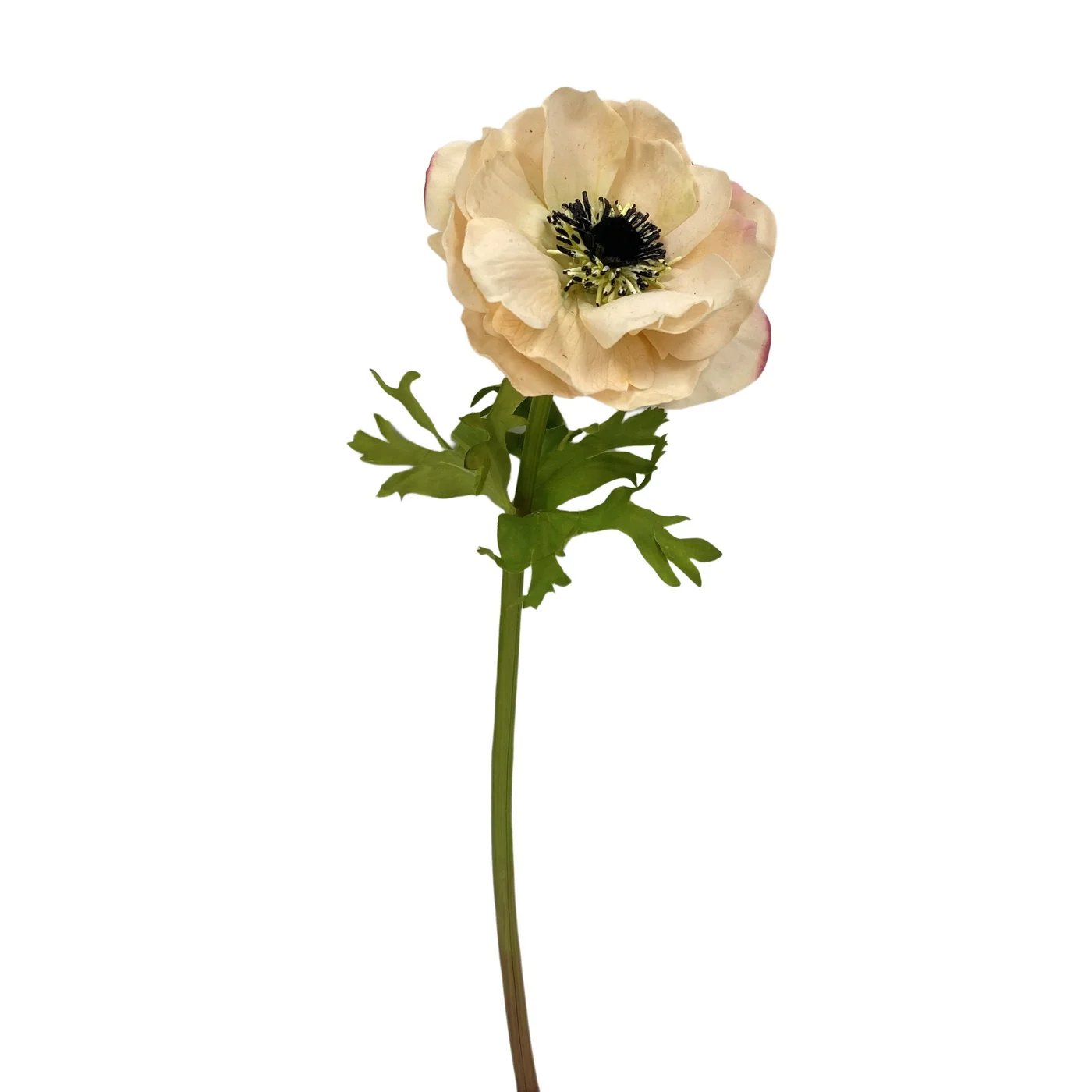 Winward 17.5" Anemone