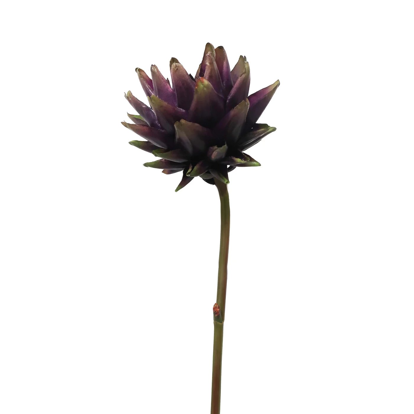 Winward 25.5" Artichoke Stem