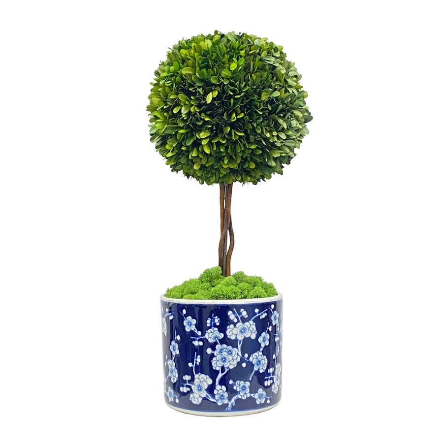 Winward Boxwood Ball Topiary in Round Vase