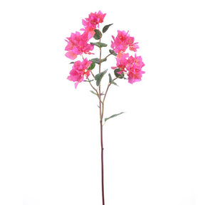 Winward Bougainvillea 34.5" Stem